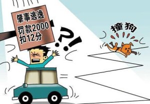 最新逃逸事件揭秘