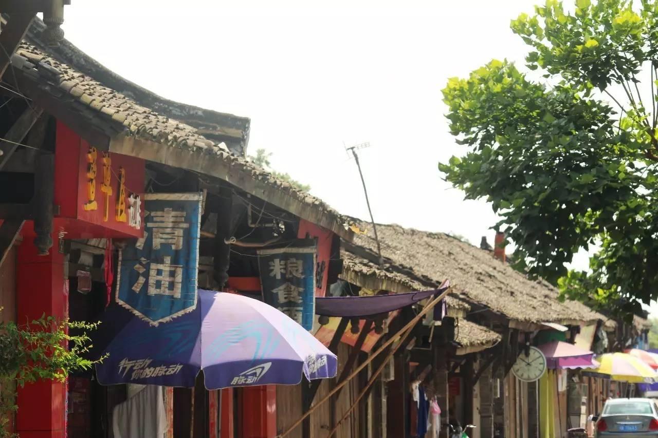 青白江最新职位招聘揭秘，小巷深处的职场宝藏！