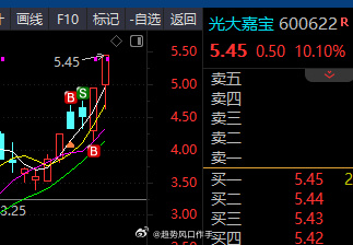 光大嘉宝股票行情深度解析，最新动态与走势预测