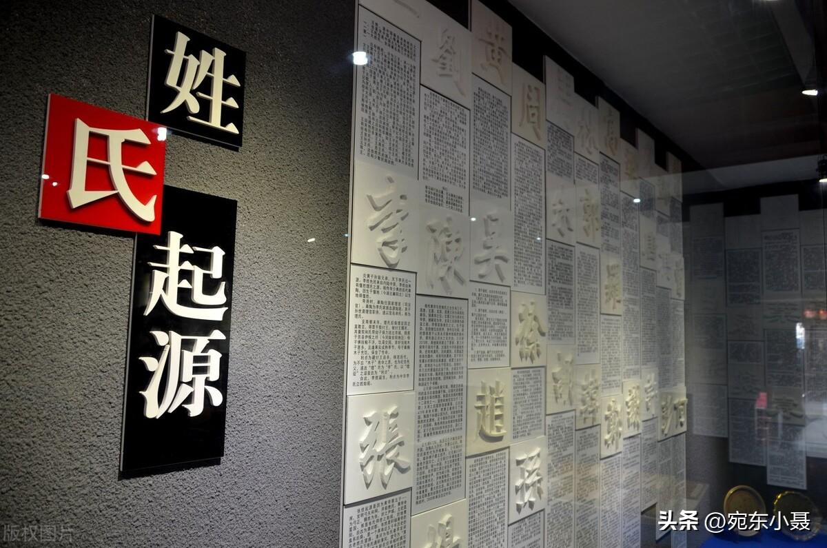 娱乐圈中的独特姓氏，探寻姓满的明星们