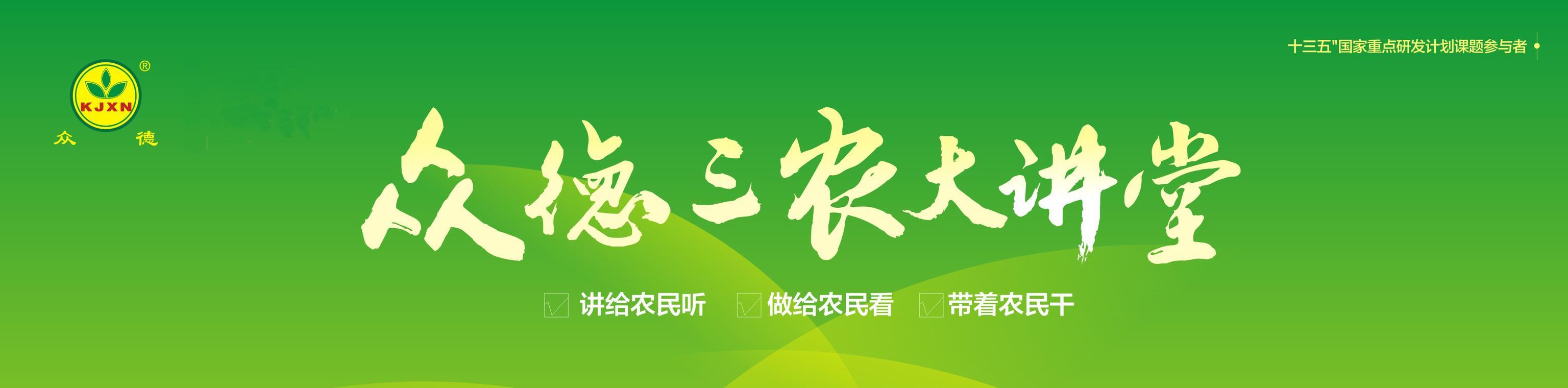 复合肥最新价格行情分析与趋势预测