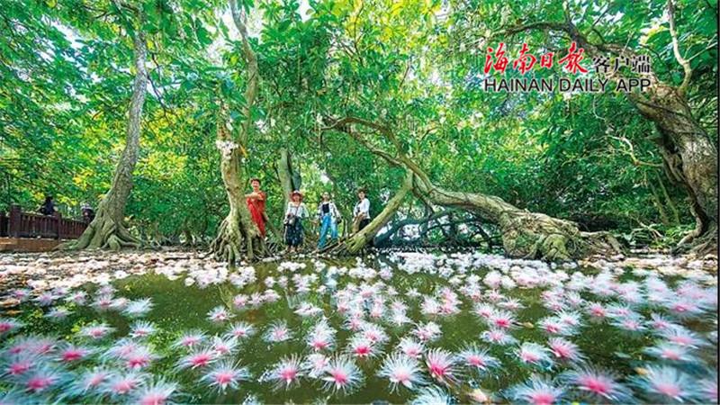 内蒙古司法厅任命公告，启程探索自然美景，寻找内心平静之旅