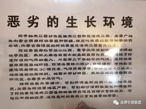 最新消渴资讯，小巷深处的独特体验