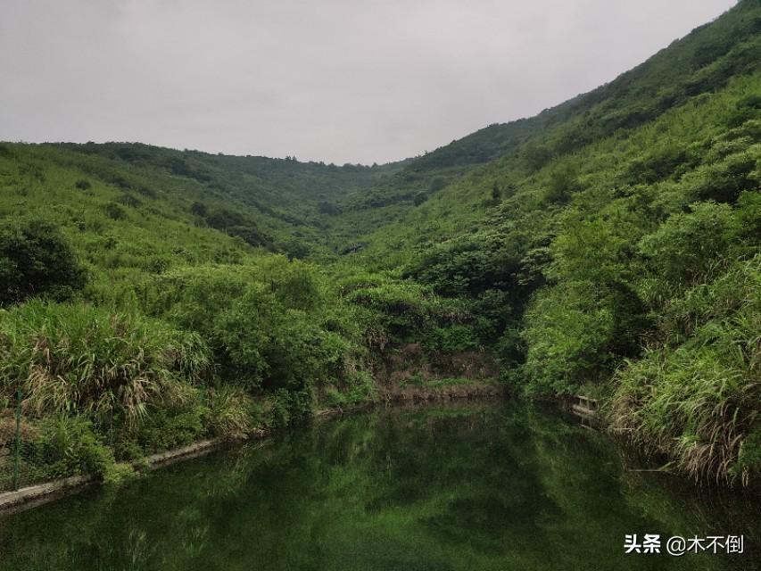 逍遥峰，追溯历史脉络，探寻时代地位的新视角