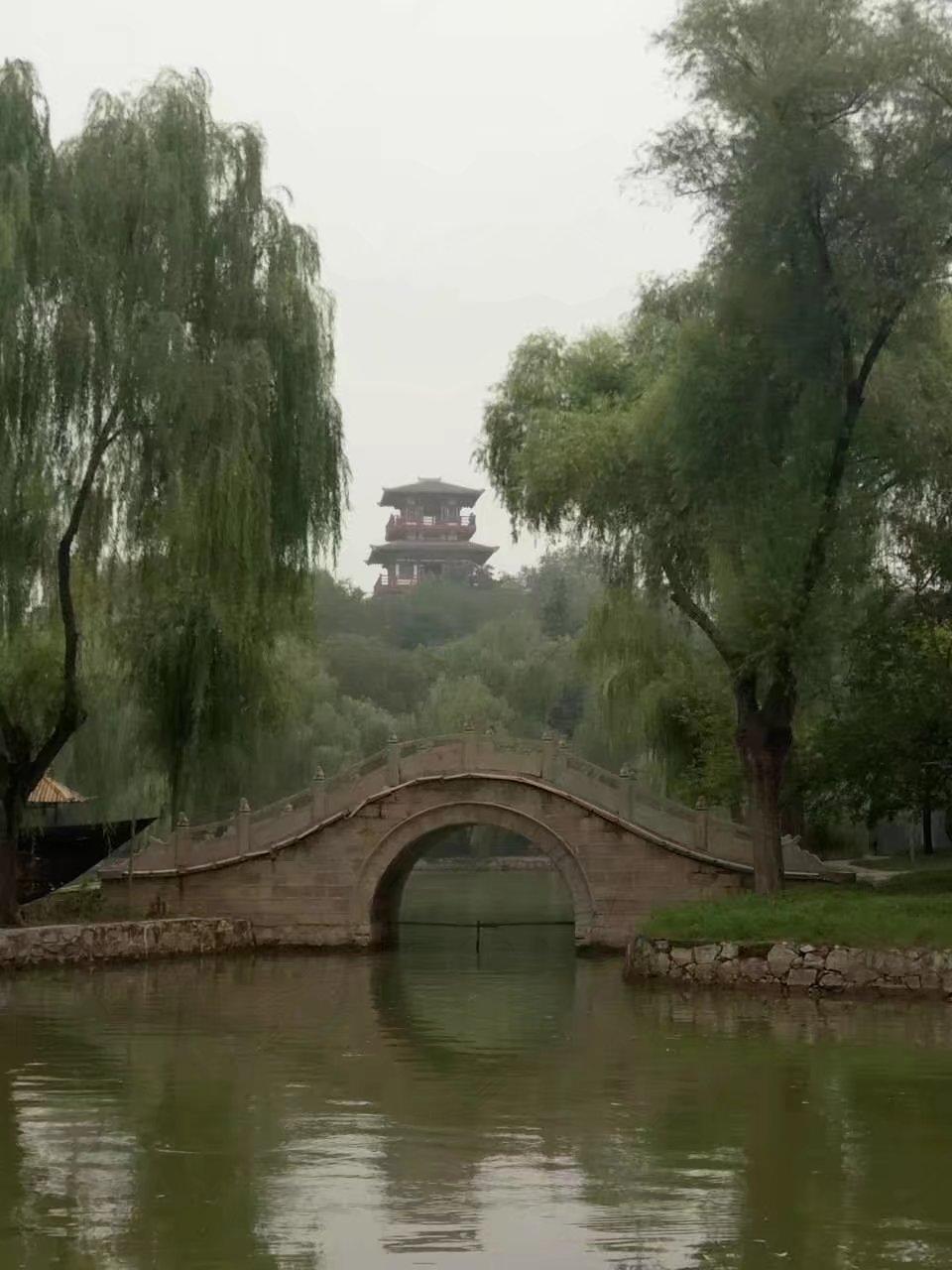 揭秘新股市璀璨明珠，为何刚上市的股票无法购买？