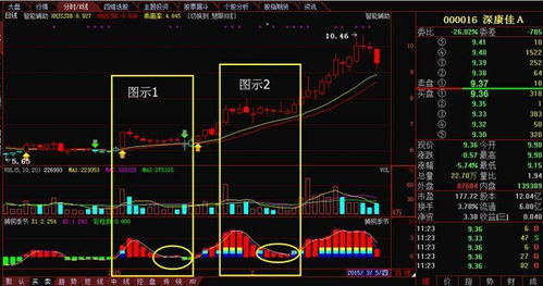股票交易中的B与S，意义、背景与影响详解