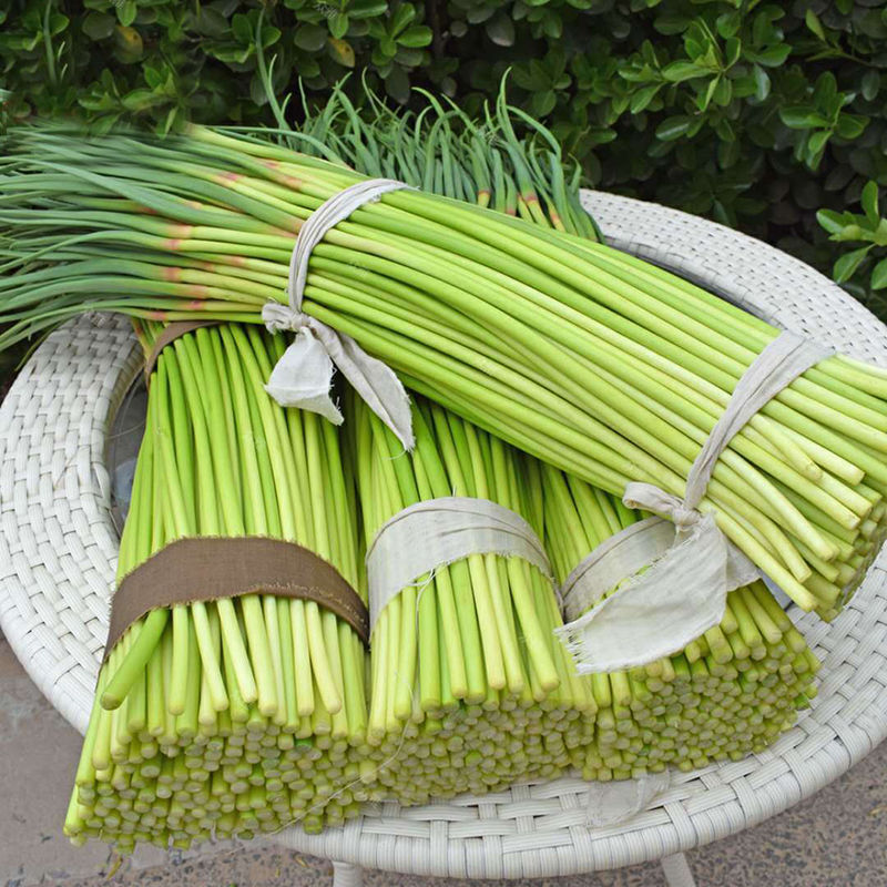 河南蒜苔价格动态，科技助力快速掌握蒜苔市场趋势