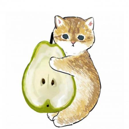 猫头像动漫，高科技产品的新里程碑风采