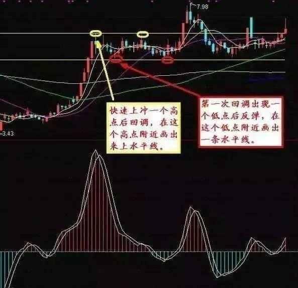 股票每日行情，市场波动与时代印记的交织观察