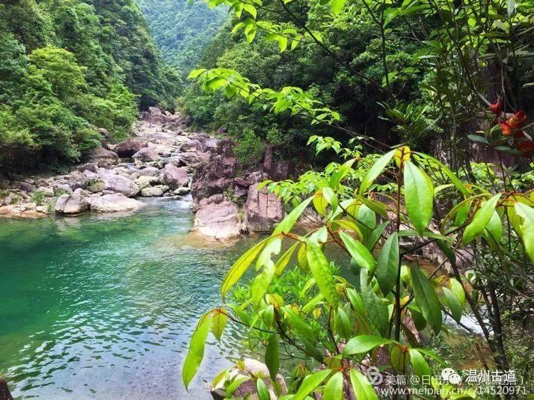 宁德交溪水电站动态回顾，时代脉搏下的力量之源