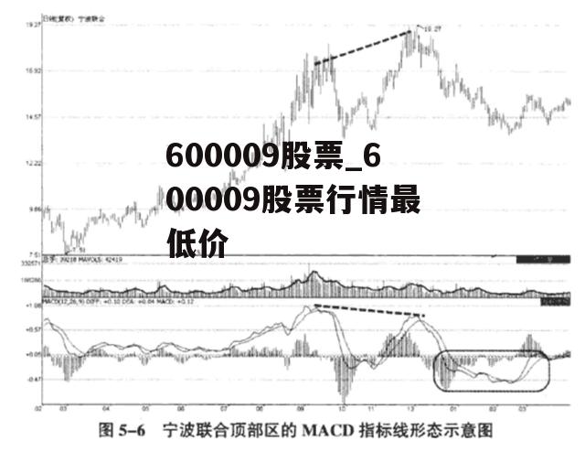 600009股票行情分析与展望