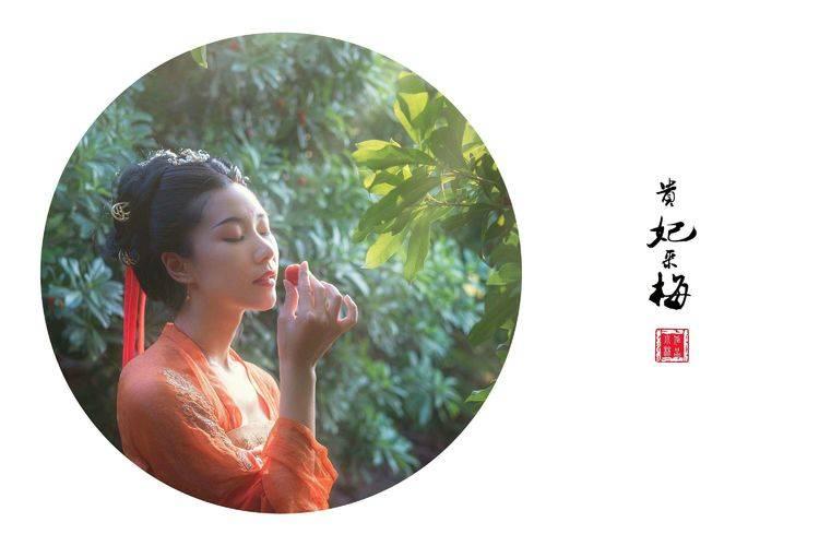 权墨深言欢最新更新及其观点论述揭秘