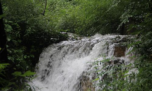 清山漫香林最新动态揭秘，自然美景探索之旅启程！