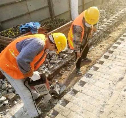 纺渭路扩建进展，详细步骤指南与最新报道