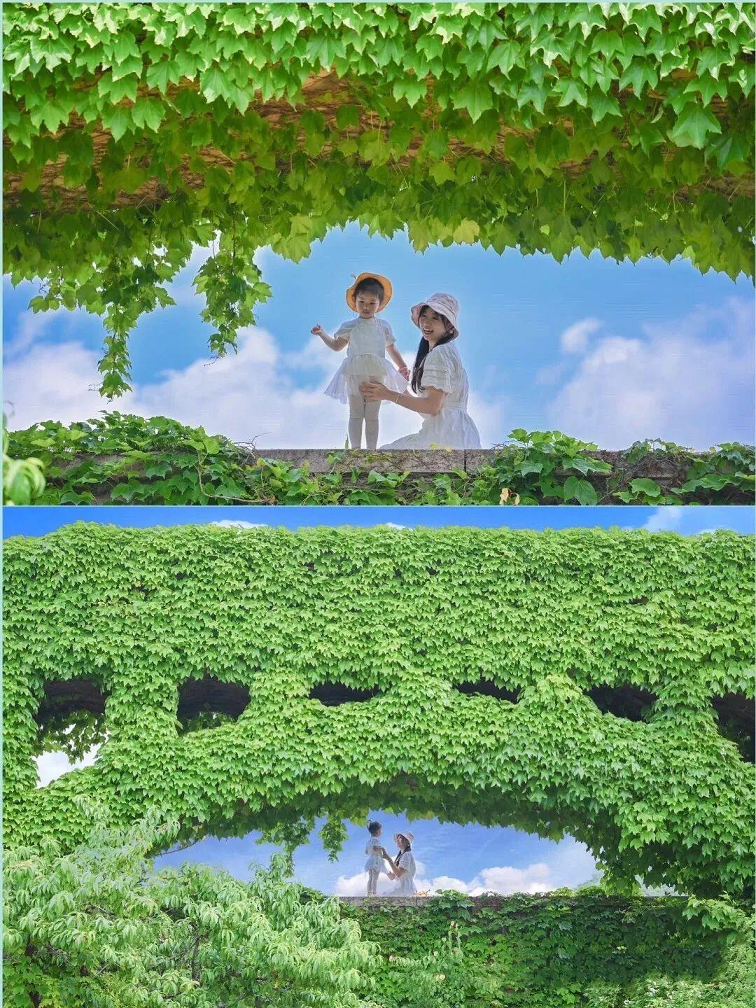 小红书分享超萌卡通动漫可爱图片大放送💖，萌趣瞬间尽在掌握！