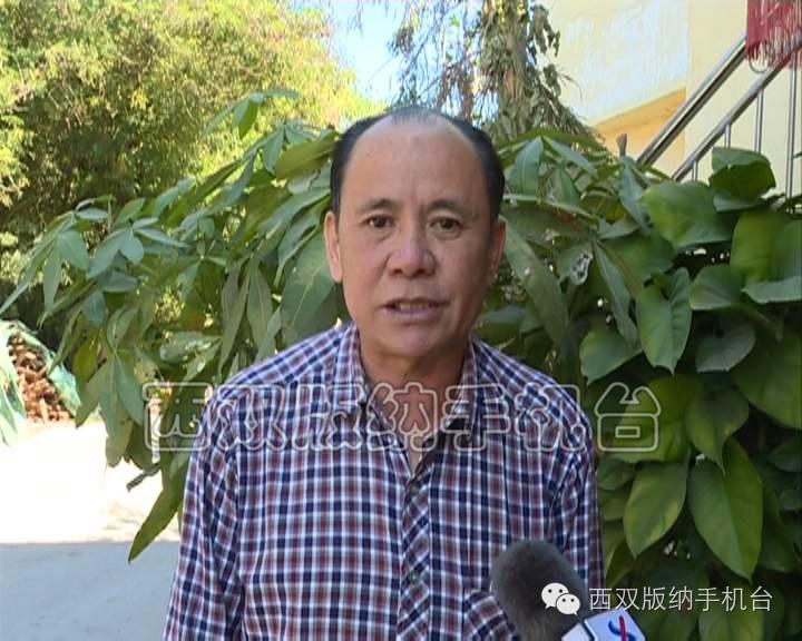 中央最新玉米扶持政策，推动农业发展的时代力量