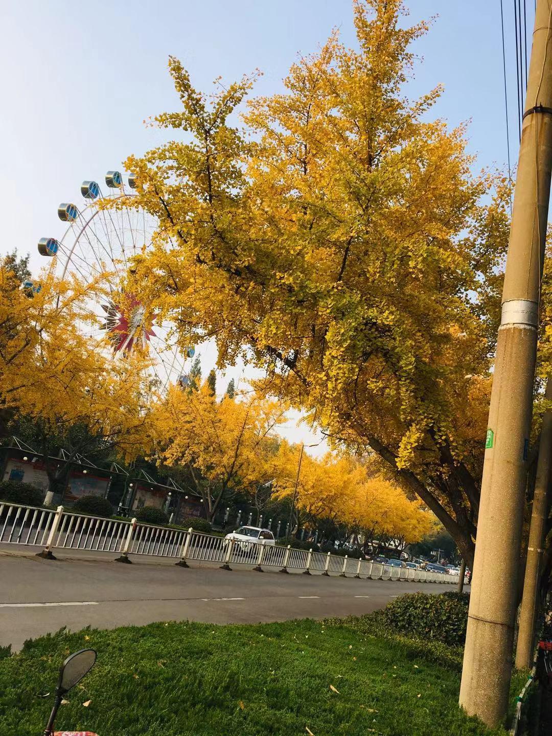 建筑物内外装饰的设计 第53页