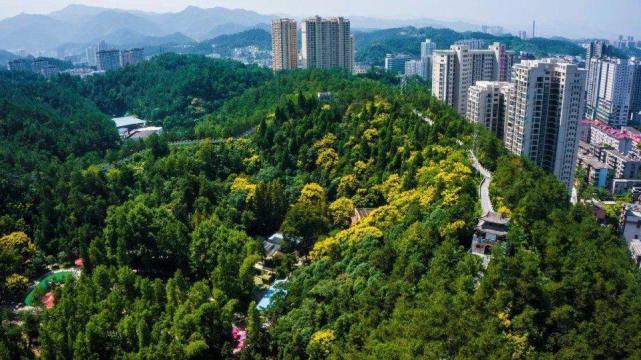 湖北十堰房价行情详解与购房时机把握指南