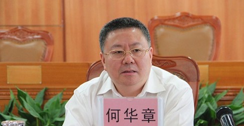 何华章最新动态深度解析，多方观点及其影响综述