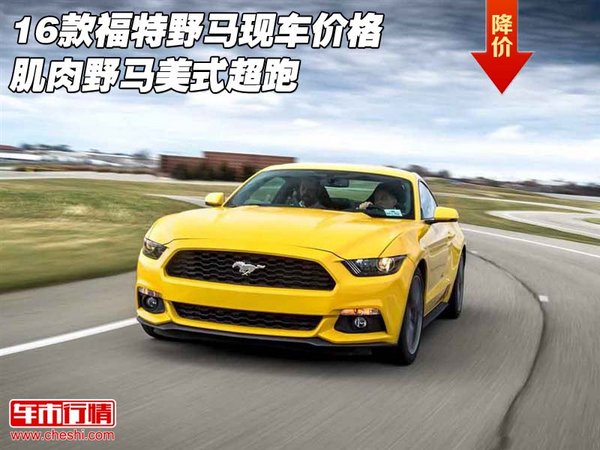 福特野马汽车价格探索之旅，自然美景与驾驶激情的完美结合