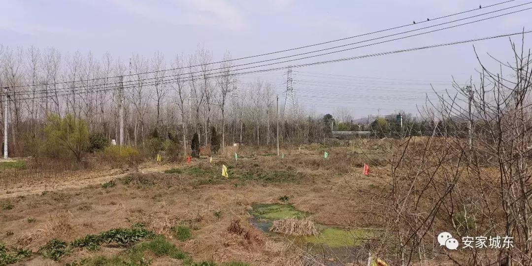 南京东麒路北延最新进展，道路变迁与人生前行之路