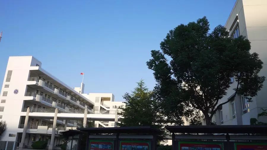 马头工业园最新招聘启事，职业新航标，变化中的学习之旅