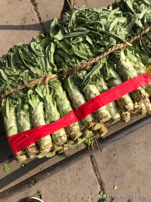 郑州万邦蔬菜最新价格，科技引领市场新纪元