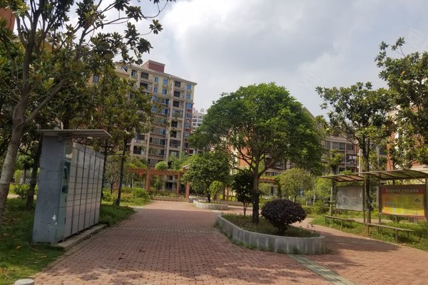 花湖和风朗苑最新动态，变化中的学习之旅，自信与成就感的培育地