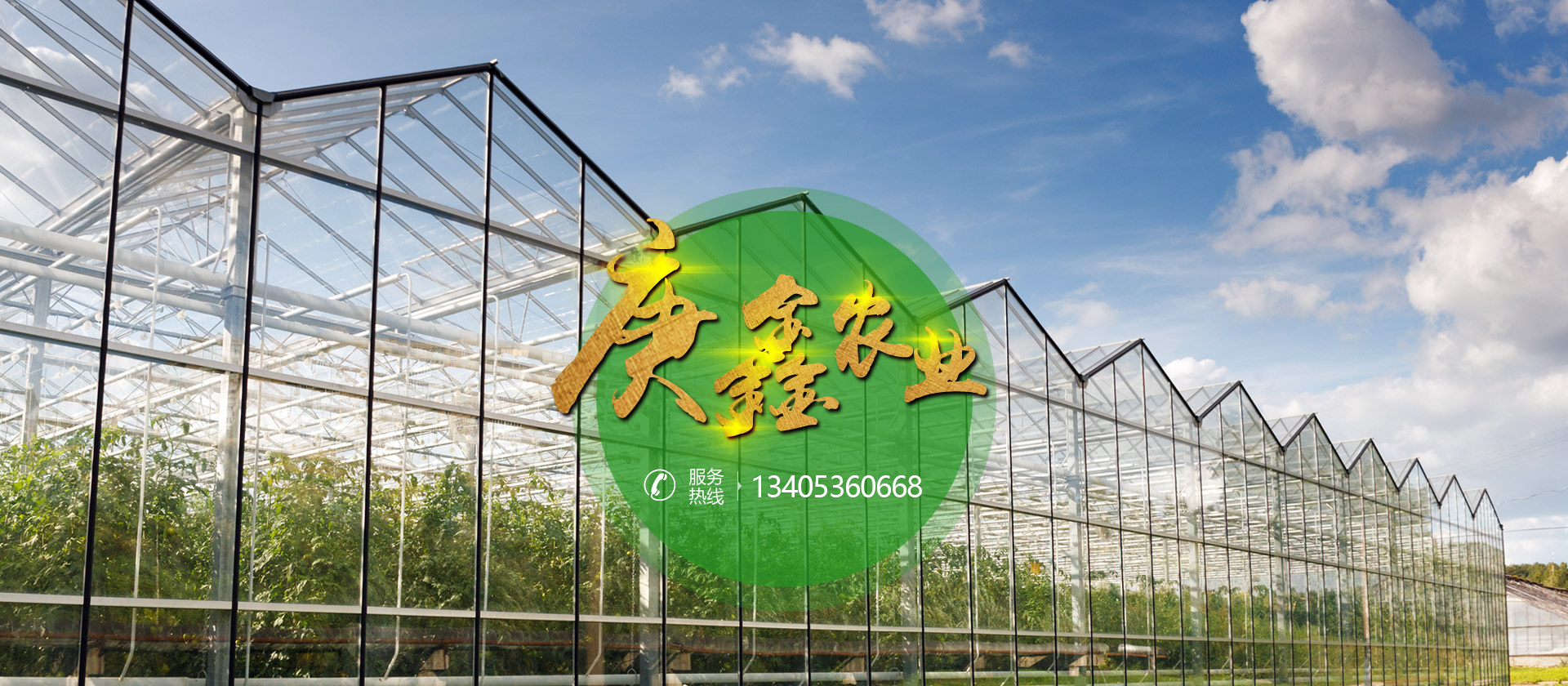 鑫秋农业，友谊与爱共融的温馨日常故事