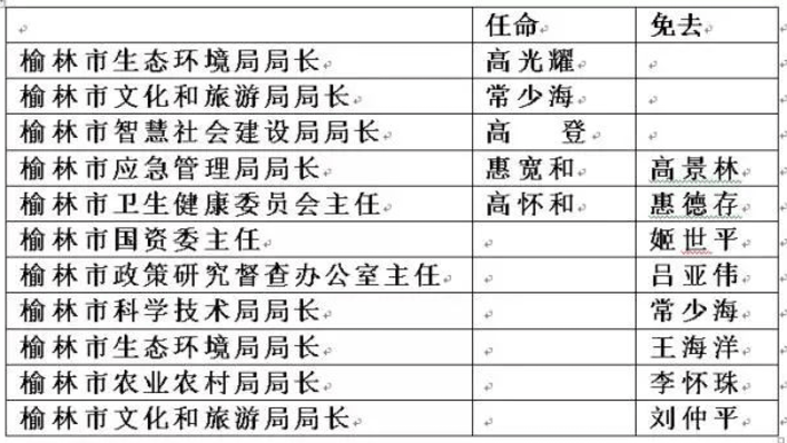 榆林市副市长分工调整，探寻独特小巷风味美食的幕后力量