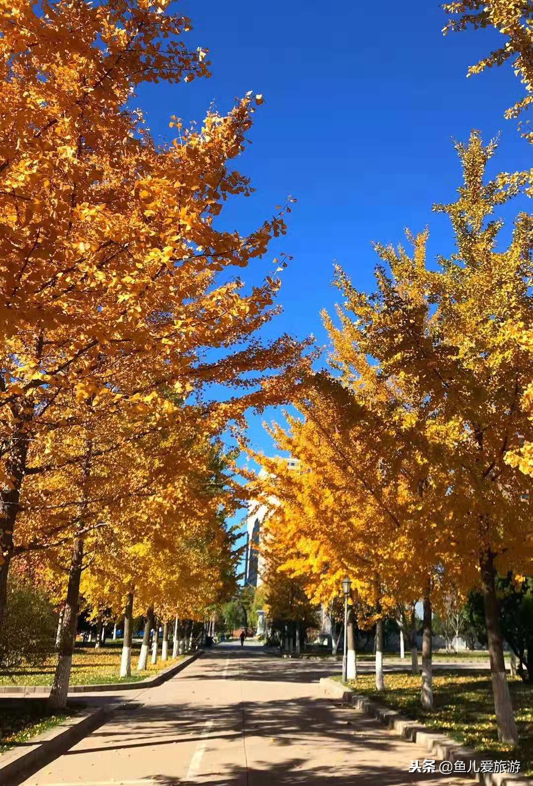 燕郊兼职最新招聘日结，自然美景探索之旅的邀请