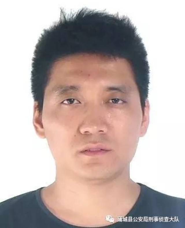 蒲城最新通缉名单及科技产品介绍