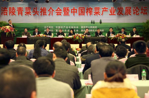 来安县农委新任主任，励志之光，农业变革的引领者