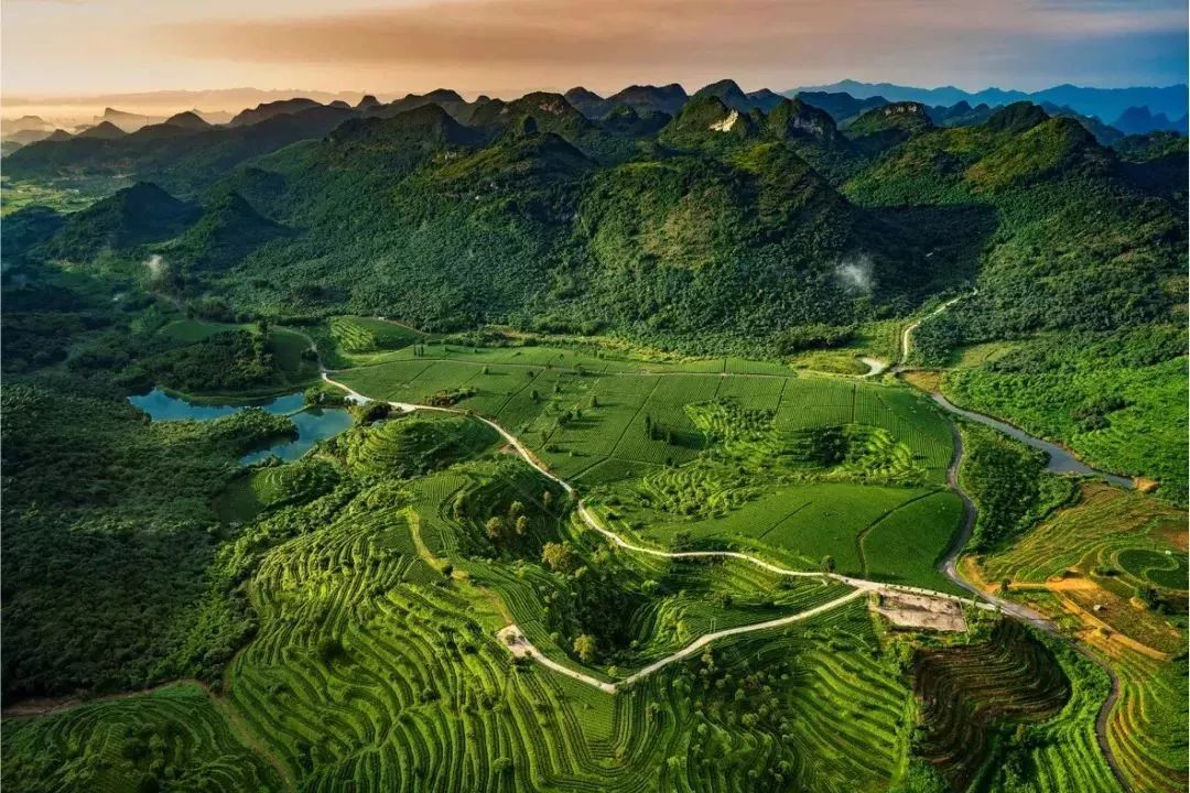 砀山王军最新消息新闻，探索自然美景之旅，寻找内心平静之旅