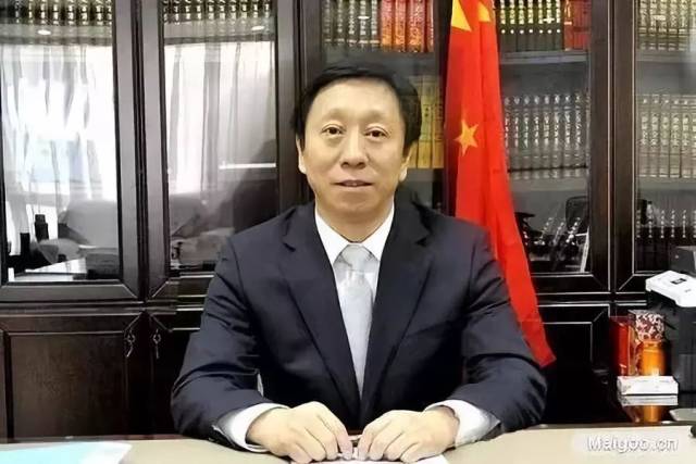 河钢集团领导班子最新，心灵与自然的美丽交融之旅
