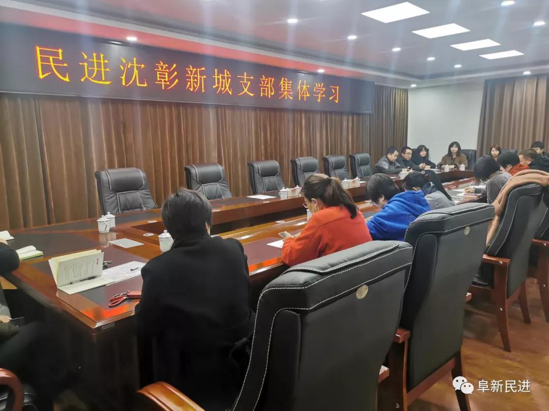 沈彰新城最新动态，发展态势及各方观点深度探析