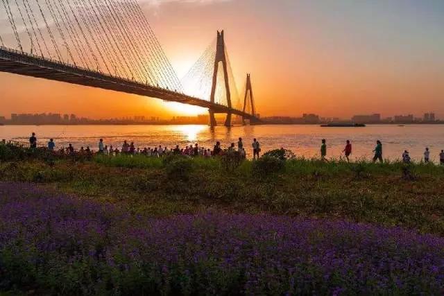 青山二期江滩最新实景，江水轻抚下的欢乐时光