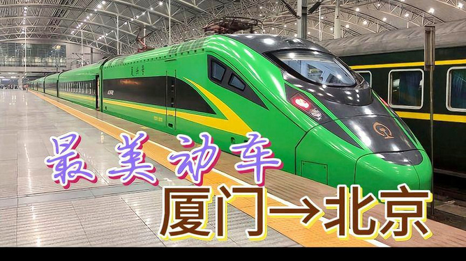 厦门动车最新招聘信息及其解读