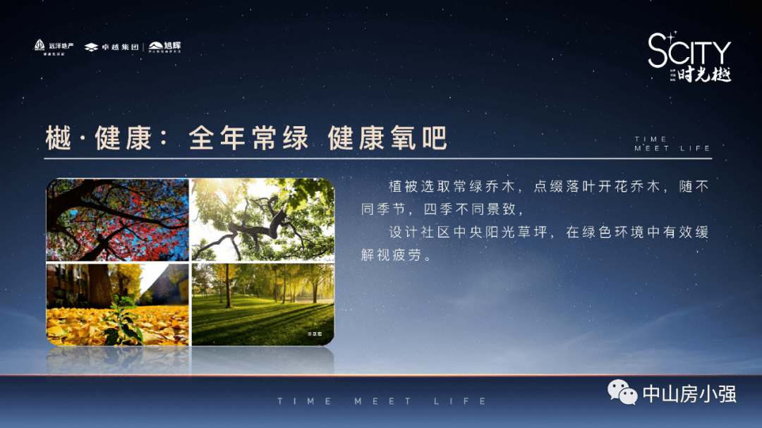 问道最新道行排行榜深度解析