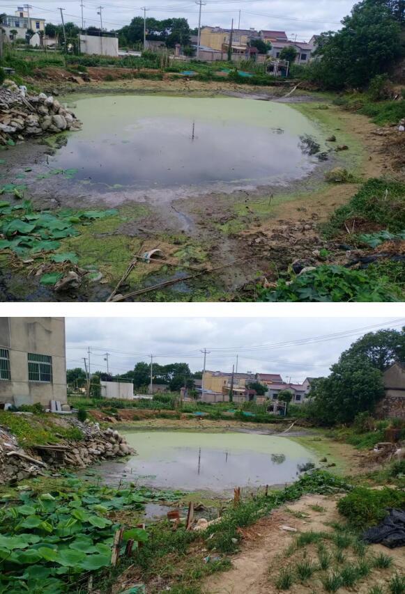 江宁区土桥最新动态揭秘，发展更新与社区变化