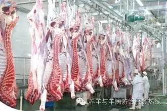 河北猪肉事件最新动态更新