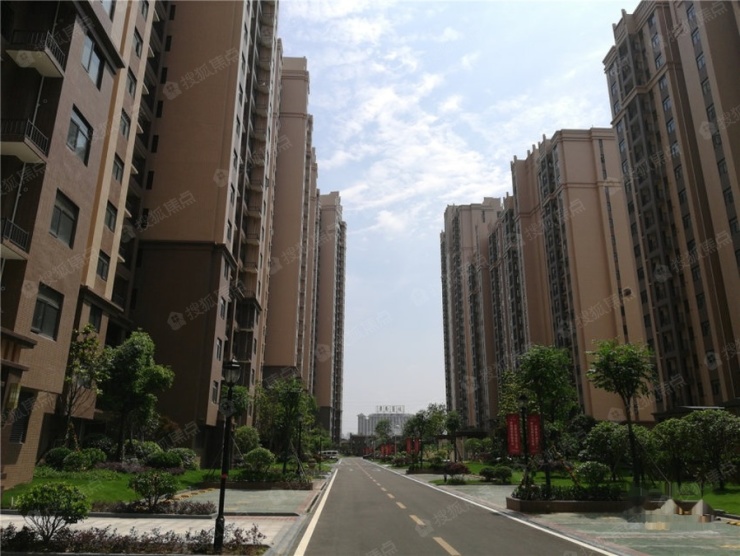 孝感赛达康城最新动态揭秘，小巷中的隐藏特色小店新情报