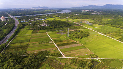 兴化桃花岛最新动态报道