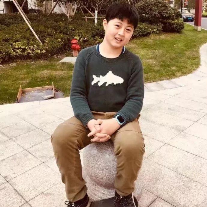 临平山北最新政策揭秘，自然美景探索之旅开启